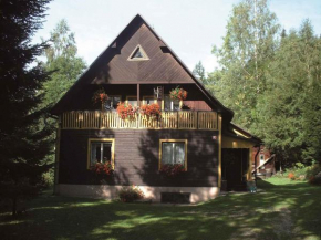  Holiday home in Dolni Dvur 2374  Дольни Двур